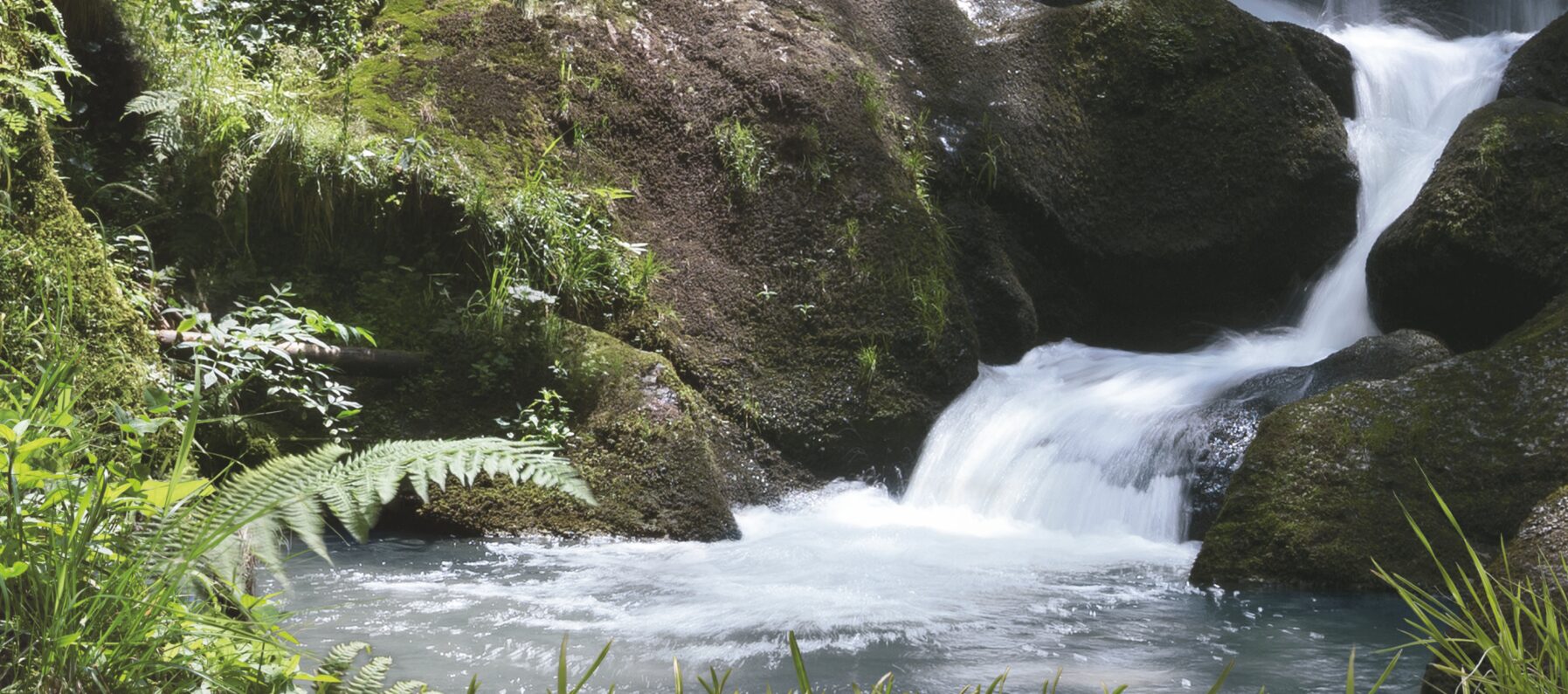 Waldviertler Quellwasser